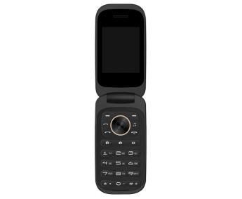 Мобильный телефон Bravis F243 Folder Dual Sim Gold