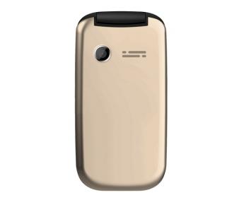 Мобильный телефон Bravis F243 Folder Dual Sim Gold