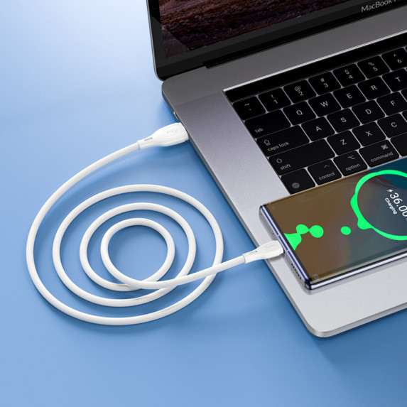 Кабель USB Hoco X61 Ultimate silicone Type-C 1m